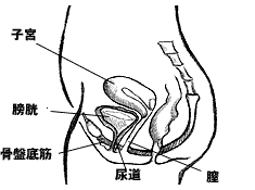 nyoumore.gif (4424 �o�C�g)