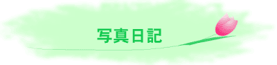 diary.gif (4867 �o�C�g)
